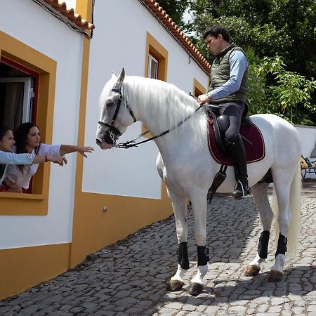 Quinta Do Malhinha- Turismo Βίλα Angra do Heroísmo Εξωτερικό φωτογραφία