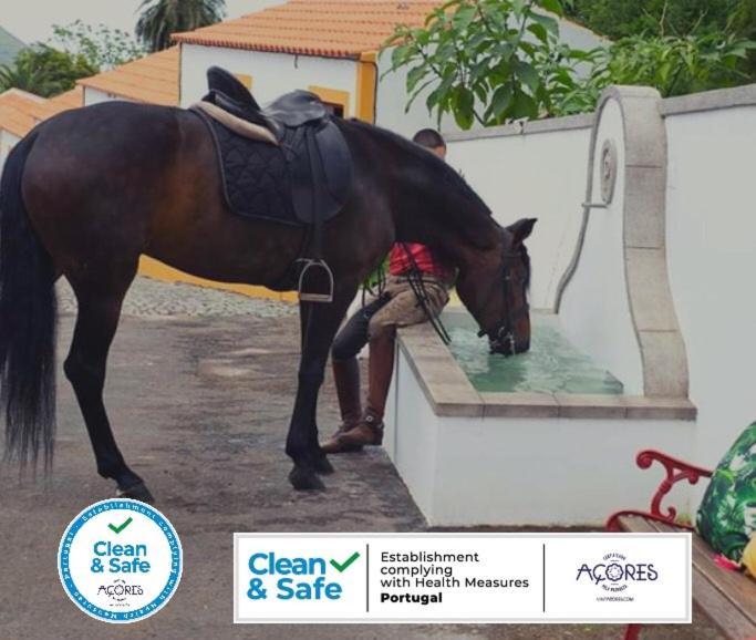 Quinta Do Malhinha- Turismo Βίλα Angra do Heroísmo Εξωτερικό φωτογραφία